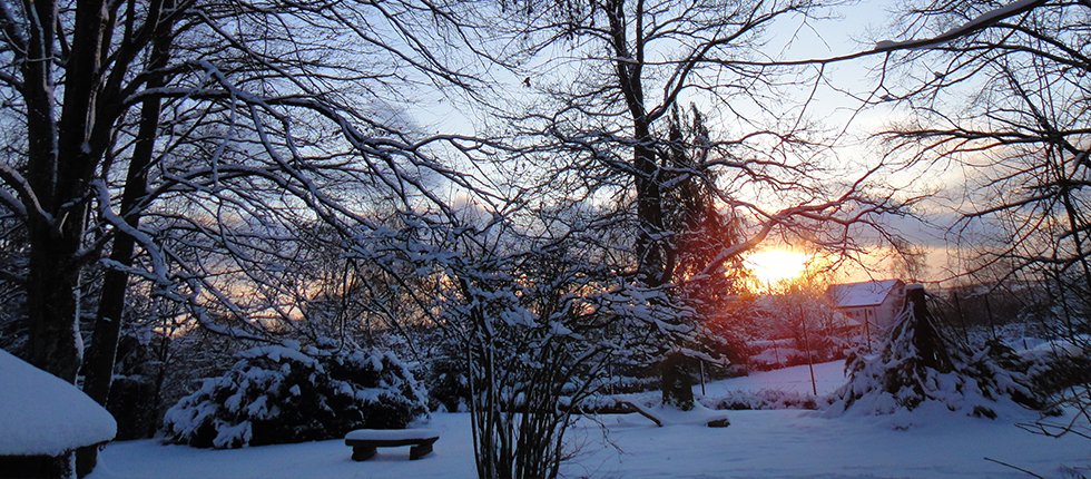 Ervaar de prachtige natuur van de Ardennen, ook in de winter !